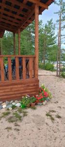 Мы-сЪ Онего - 80