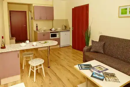 Stargorod Apart-Hotel - 40
