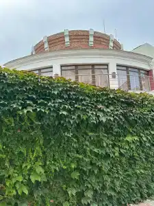 Вязовая роща - 51