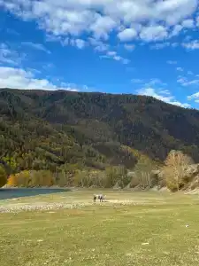 Сертпек - 12