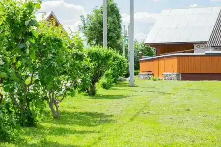 Александровский - 29