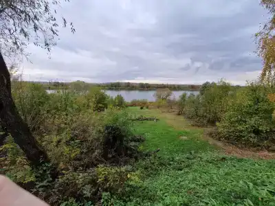 LesDankin - 84