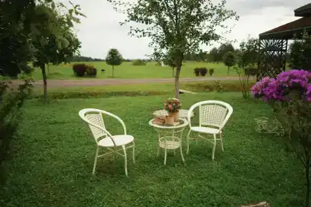 Елизарово - 31