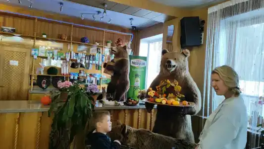 Три медведя - 80