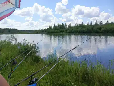 Сендега - 12