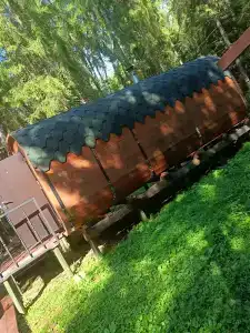 Сосновый берег - 41