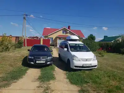 Мишкина Дача - 10