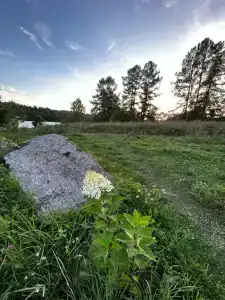 Форт Верный - 41