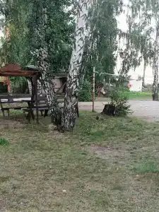 Уралец - 10