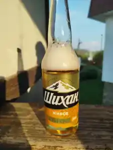 Серебряный рожок - 13