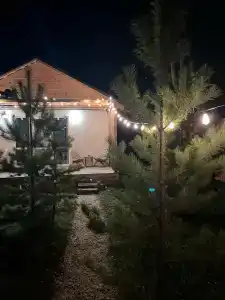 Introvert House - 29