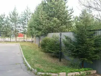 Вернисаж - 18