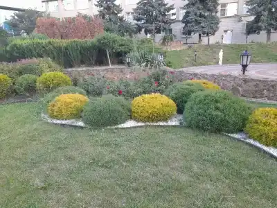 Дон - 69
