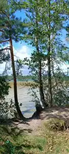 Белое озеро - 98