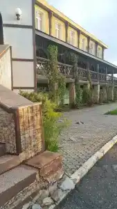 Серебряный рожок - 47