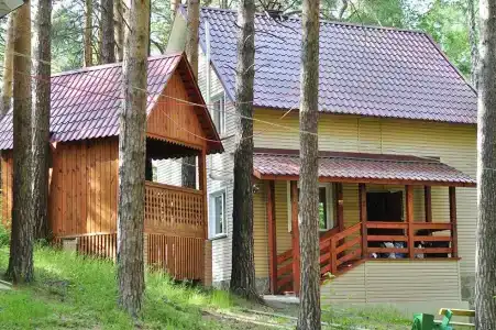 Омега - 31