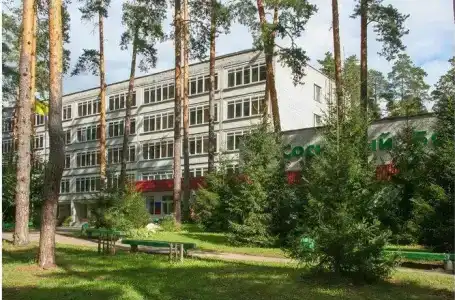 Сосновый бор - 0