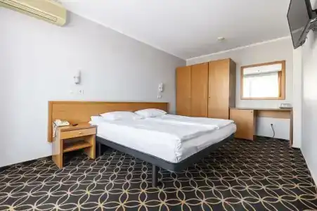 Магнолия - 85