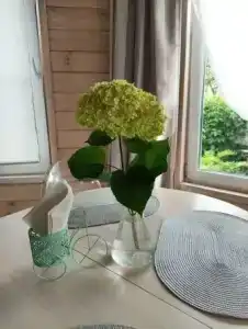 Лисапедово - 55