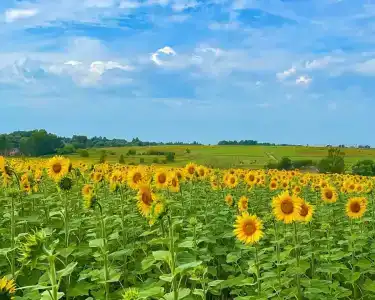 Отдых у реки - 3