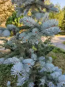 Варваровка - 17