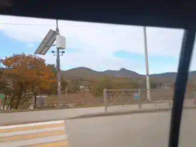 Скелепарк - 67