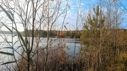 Сечуга - 25