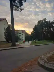Пралеска - 19