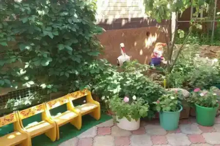 на Полевой - 10
