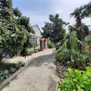 Усадьба Пантелея - 44