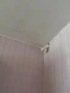 Центральная - 53