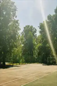Берёзка - 7