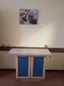 Пионер - 5