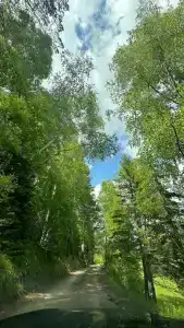 Глэмпинг Долина Мечтателей - 8