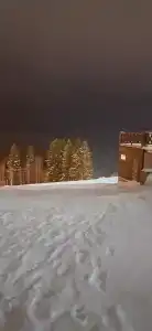 Снегири - 21