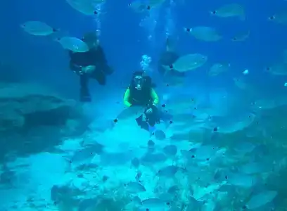 Malama Beach Holiday Village - 19