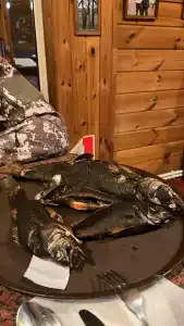 Трёхречье - 33