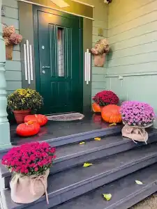 Сирин дом - 24