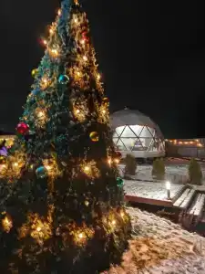 Геометрия - 16