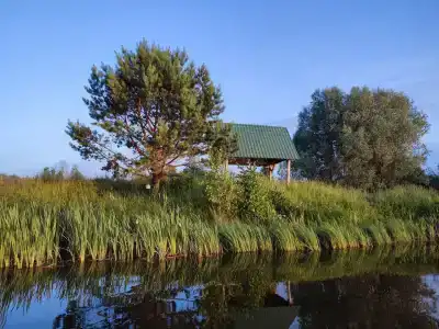 Поднебесье - 8