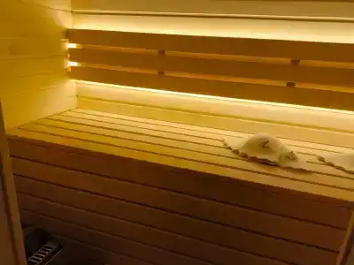 Капитанский Остров 57 - 53