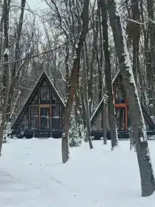 Алмаз - 23