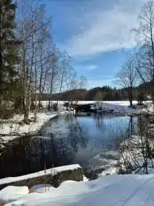 На паузе - 88