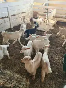 Александровский спас - 30