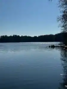 Утро на заводи - 89