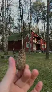 Кедровый Бор - 24