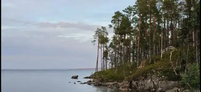 Рыболофф.ру - 27