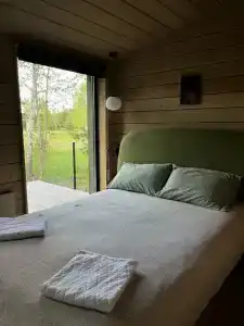 Betula - 83