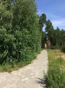 Таёжная - 7