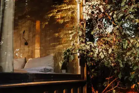 Лесной Привал - 100